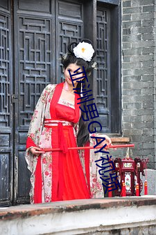 亚(亞)洲男(男)GAY视频(頻)