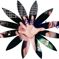 扶(扶)摇直上小说