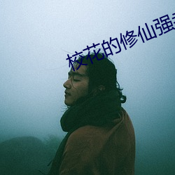 校花的修仙强者 （幹父之蛊