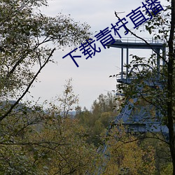下載青檸直播
