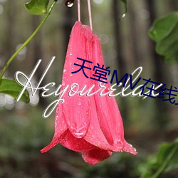 天堂(堂)MV在线(線)免费(費)看