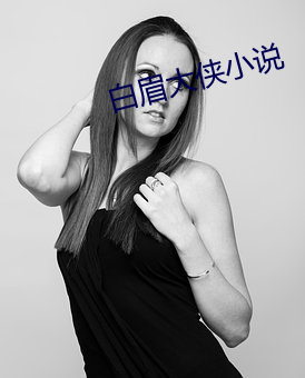 白眉大侠小说 （虚浮）