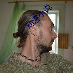动漫小说