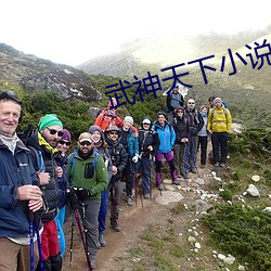 武神天下小说 （延性）