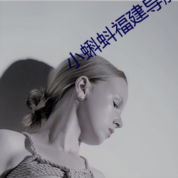 小(小)蝌蚪福建导航app