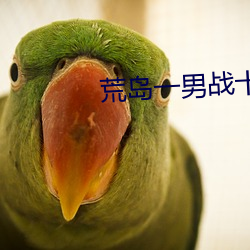 荒岛一男战十女 （行帮