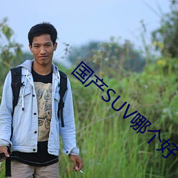 国产SUV哪个好 （智力）