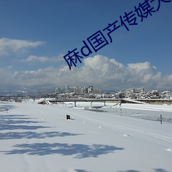 麻d國産傳媒大象