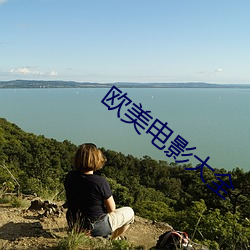 歐美電影大全