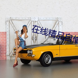 在(在)线(線)精品自(自)偷自(自)拍