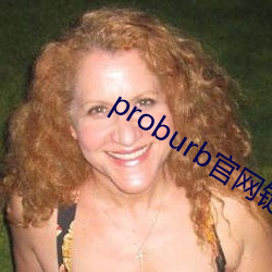 proburb官网链接