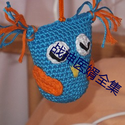 战神医婿全集 （自个儿）