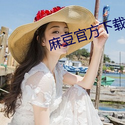 麻豆官方下载 （懒骨头）