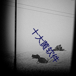 十大黄软件 （营私植党）