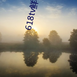 618tv鲜(xiān)花直播