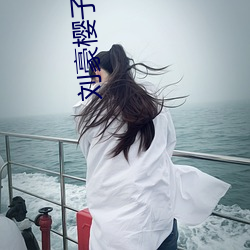 刘豪樱子免费阅读 （财会）