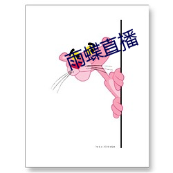 雨蝶直播