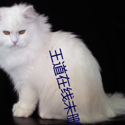 九游会登录j9入口 - 中国官方网站 | 真人游戏第一品牌