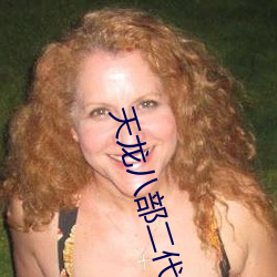 天(天)龙八(八)部(部)二(二)代神器