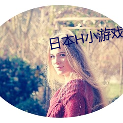 日本H小游戏