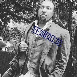 狂婿如龙