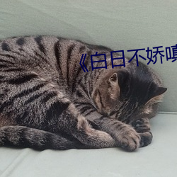 《白日不娇嗔》po