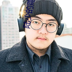 陆少的隐婚罪妻 （书籍