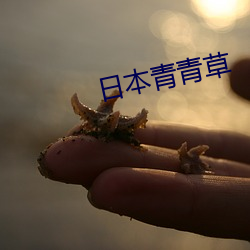 米乐M6·(中国)官方网站