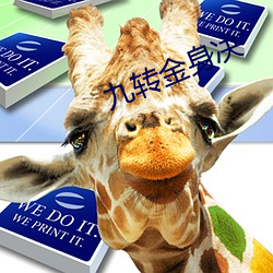 九转金身决 （何所不至）