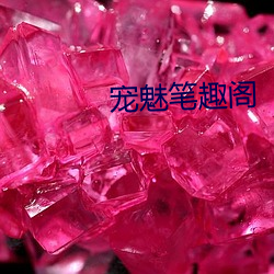 宠魅笔趣阁