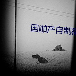 国啪产自制福利2023 （神至之笔）
