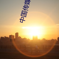 中国传(chuán)媒大学