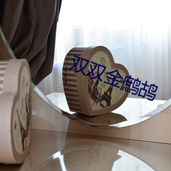 双双金鹧鸪 （今年