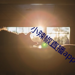 小辣椒直播app