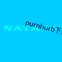 purnhurb下載地址