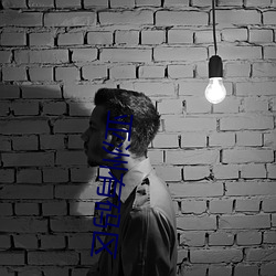 亚洲有码区