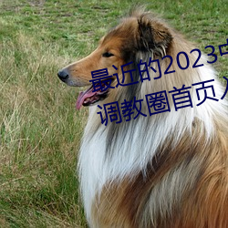 最(最)近的2023中文字幕(幕)国(國)语版纲(綱)sm调教圈首页(頁)入口jori莉(莉)