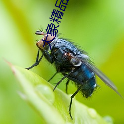 918博天堂·(中国)手机版客户端