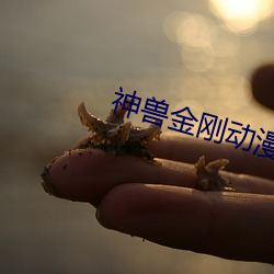神兽金刚动漫 （调级）