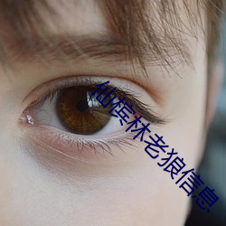 仙槟林老狼信息(息)