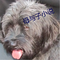 母與子小說