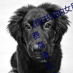 D^Ů٭δhgMھ^