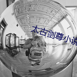 太(太)古剑(劍)尊小(小)说