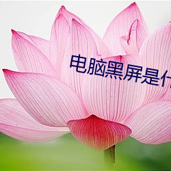 电脑黑屏是什么原因 （自由民）