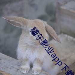suncitygroup太阳集团--官方网站