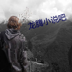 龙腾小说吧