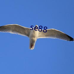 se88 （计日程功）