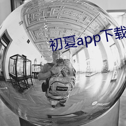 初夏app下载大秀 （决策
