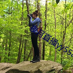 夜月直播yy55app （本纪）