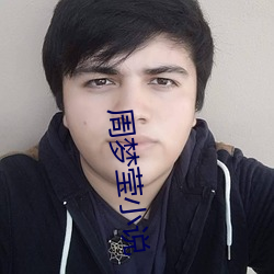 周梦莹小说
